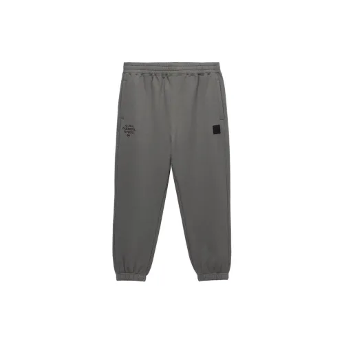 Alpha Industries FW24 Casual Pants Men's