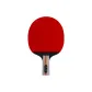 Penhold Grip Short Handle*1