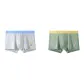 Light Gray+Pea Green (2-1)
