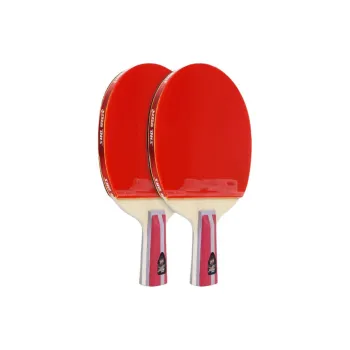 DHS Ping Pong Paddles