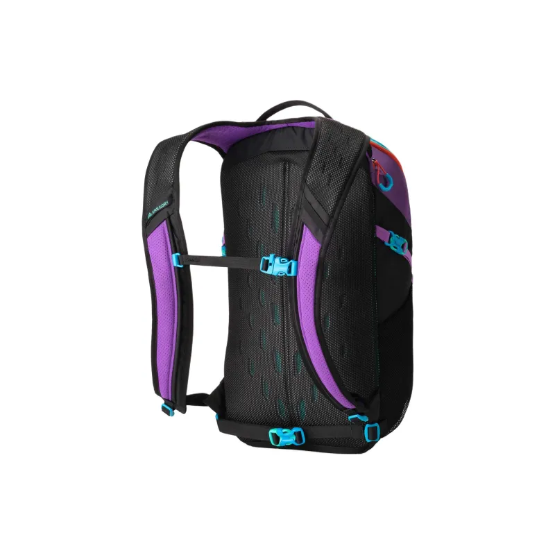 GREGORY 24L Backpacks Nylon Purple & Blue Unisex-1