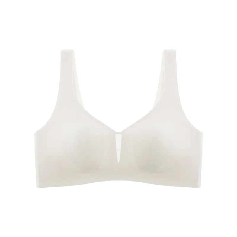 Caramella Women's Bras-1