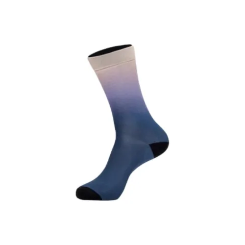 SALOMON CHROMATIC CREW Mid-Calf Socks Unisex 1 Pack Gray Blue