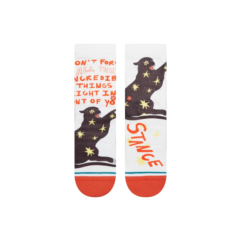 Stance x EELENA FIOERANZA Mid Calf Socks Unisex 1 Pack-5