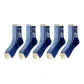 5 Pack Vertical Stripes