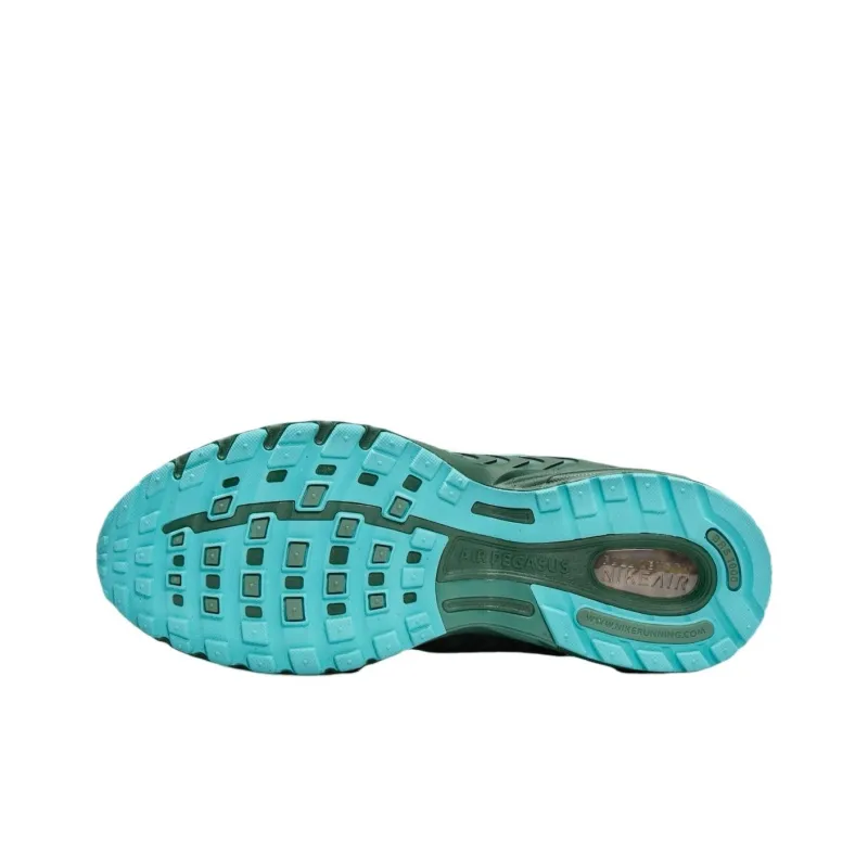 Nike Air Peg 2K5 Fir Bicoastal-4