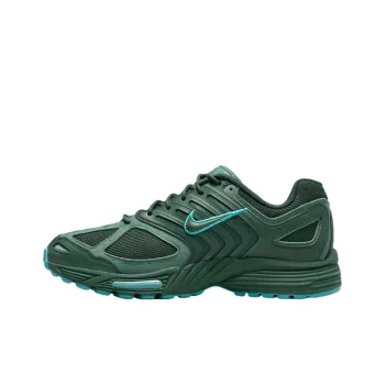 Nike Air Peg 2K5 Fir Bicoastal