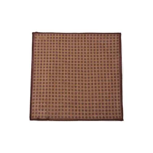 LARDINI Wool Silk Scarves Men's Light Coffee