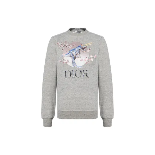 DIOR Quarterly New Products Sweatshirts Unisex Gray