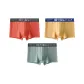 3 Pack (A Combo-Color Block Red+Yellow+Green)