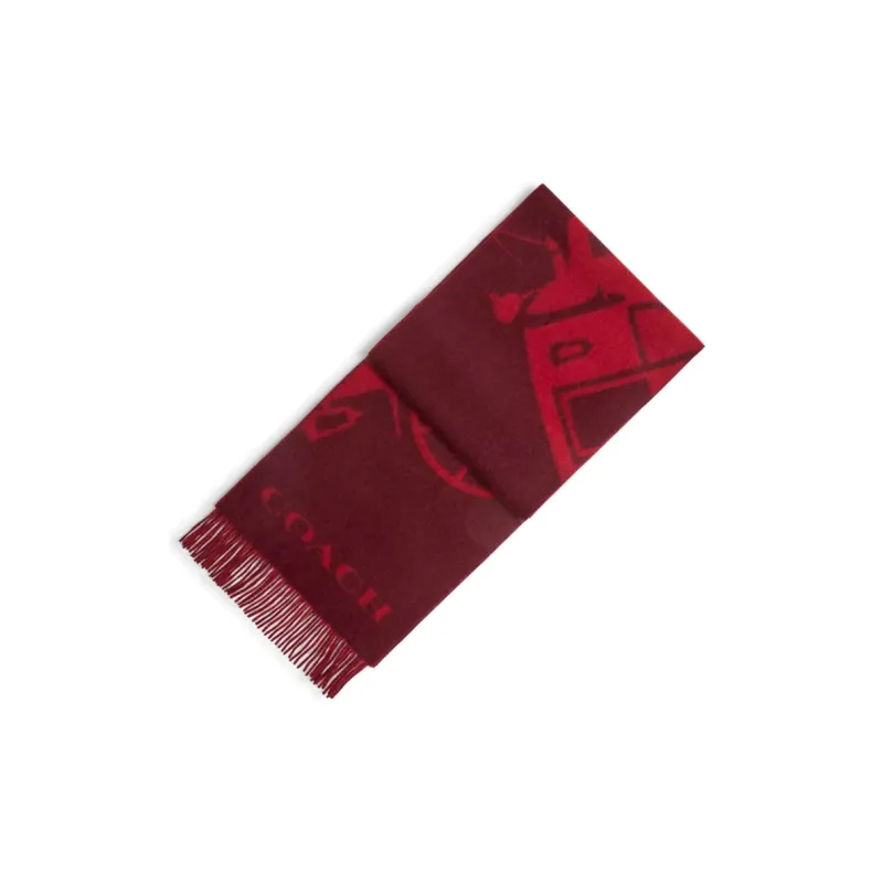 COACH Cashmere Knit Scarves Unisex Red-1