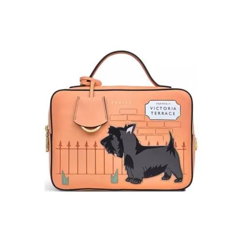 RADLEY Cow Leather Box Bag Lunch Box Bag Handbag Medium Size Women's Orange