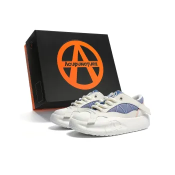 Acupuncture Low Top Casual Shoes Unisex Box