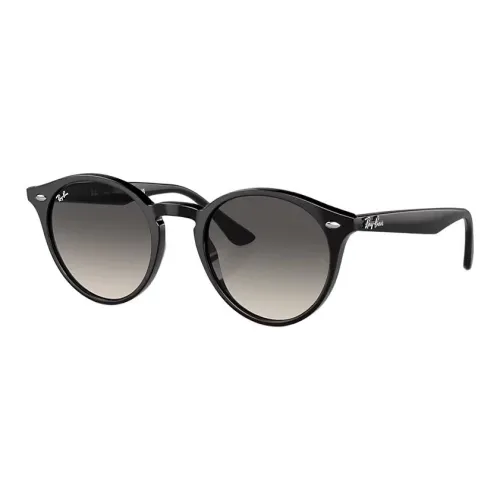 RayBan Erik Round frame Sunglasses