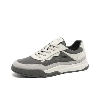 Satchi Low Top Skateboard Shoes Men's Gray