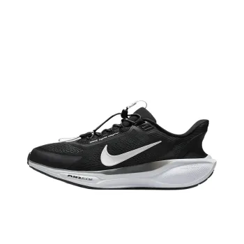 Nike Air Zoom Pegasus 41 EasyOn Black Anthracite Photon Dust White