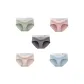 Green+Pink+Gray+Khaki+Blue-5 Pack
