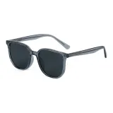 C2 Transparent Smoke Gray Lens