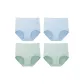 Blue+Blue+Green+Green-4 Pack