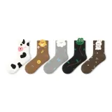 Curious Baby Quarter Crew Socks-5 Pack 7A Antibacterial