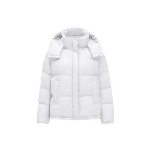 Tambor Down Jackets Women's