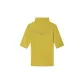Sunshine Yellow