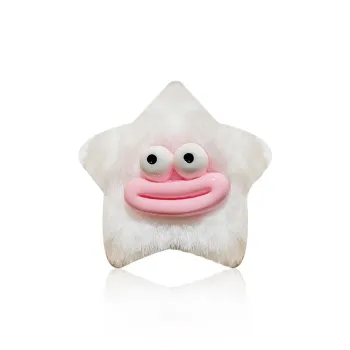 ZANC Hair Clips Women's