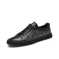 Black Gray