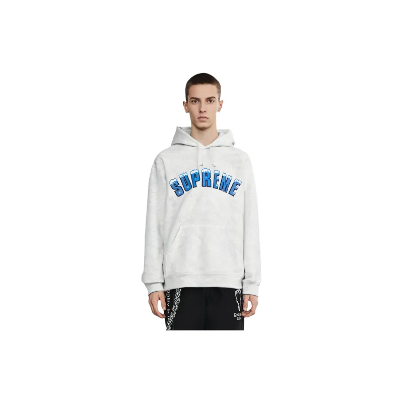 Supreme Icy Arc Hooded Sweatshirt-6