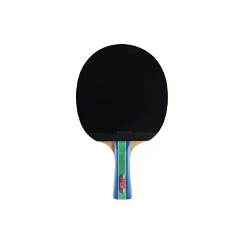 DHS Ping Pong Paddles