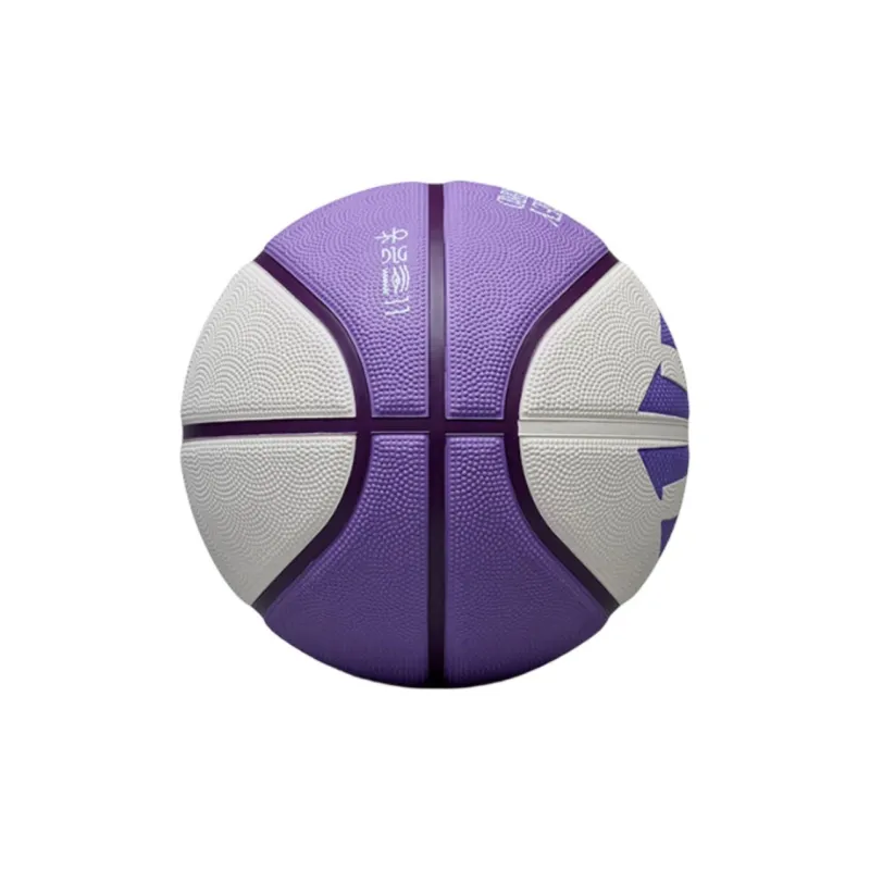 Anta Irving Series Rubber Basketball Purple No. 5/No. 7 Training Match Unisex-3