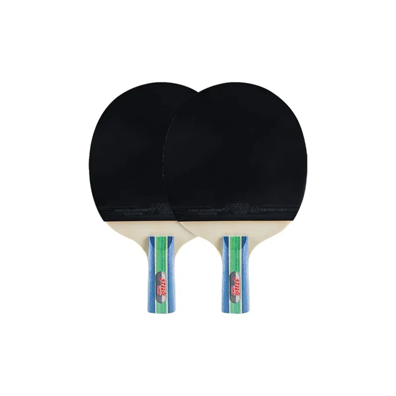 DHS Ping Pong Paddles-14