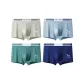 Light Pea Green-Gray Blue-Gray Green-Royal Blue