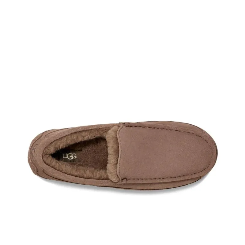 UGG Ascot Slipper Caribou-2