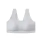 Light Gray LGY