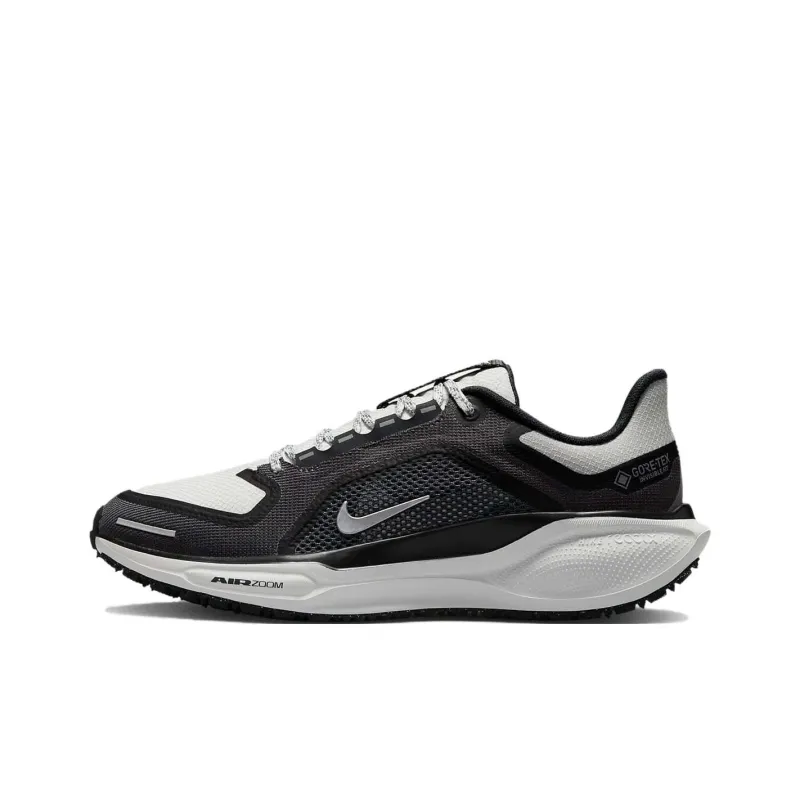 Nike Air Zoom Pegasus 41 Gore Tex Black Iron Grey Women's-0