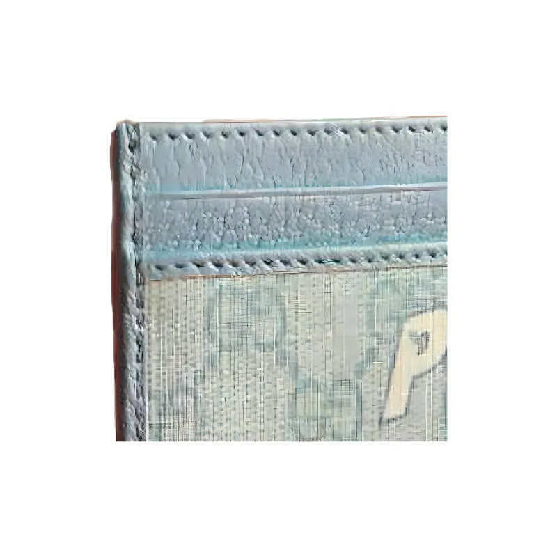 GUCCI PALACE Collaboration Canvas Card Holder Women's Blue-2
