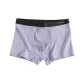 Light Gray Purple