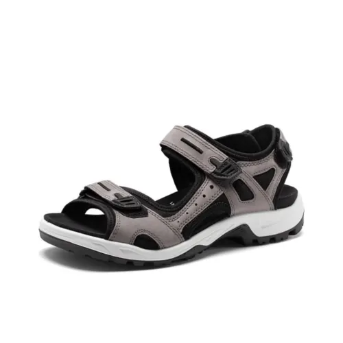 Ecco Beach Sandals Men's Purple