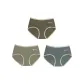 3 Pack (Jasper+Light Green+Blue)