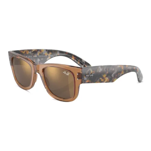 RayBan Wayfarer frame Sunglasses