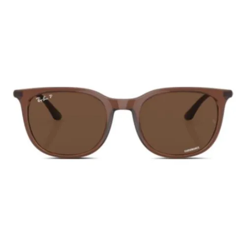 RayBan Acetate Round Sunglasses Men's Tan