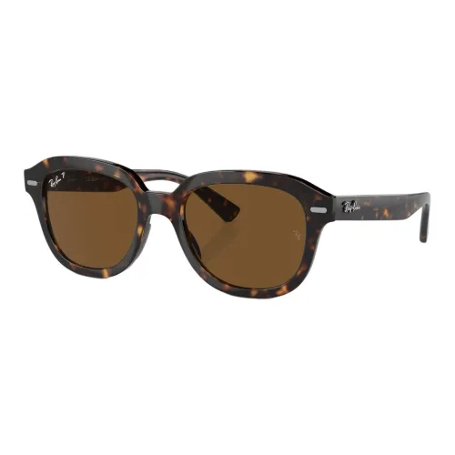 RayBan Erik Round frame Sunglasses