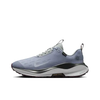 Nike React Infinity Run 4 Gore Tex Ashen Slate Light Pumice Dark Smoke Grey Football Grey