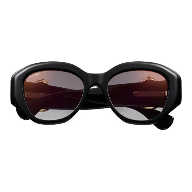 CARTIER Acetate Metal Oval Sunglasses Unisex Black-1