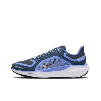 Nike Air Zoom Pegasus 41 Gore Tex Cobalt Women's