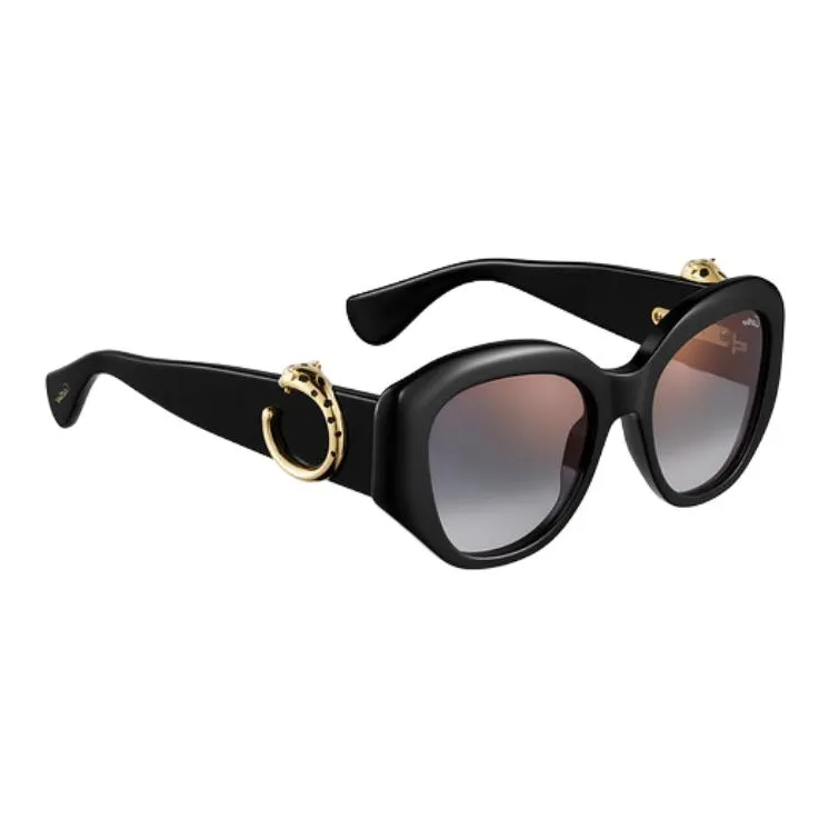 CARTIER Acetate Metal Oval Sunglasses Unisex Black-2