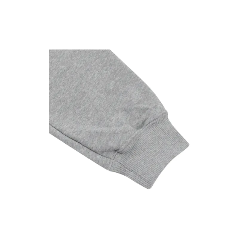 Jordan BRKLN FLC PO AS W J FT Sweatshirt Women's Gray-3