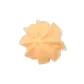 Little Pointy Cookie