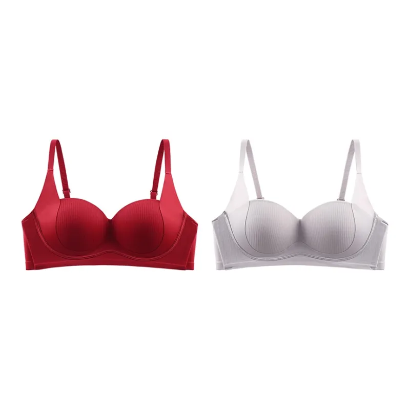 Lanza Women's Bras-0